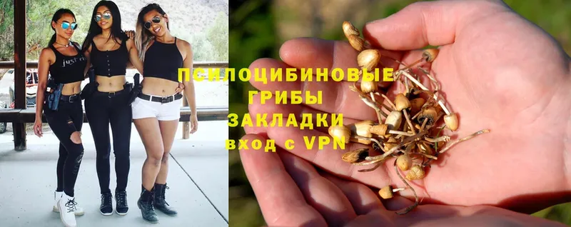 Псилоцибиновые грибы MAGIC MUSHROOMS  Почеп 